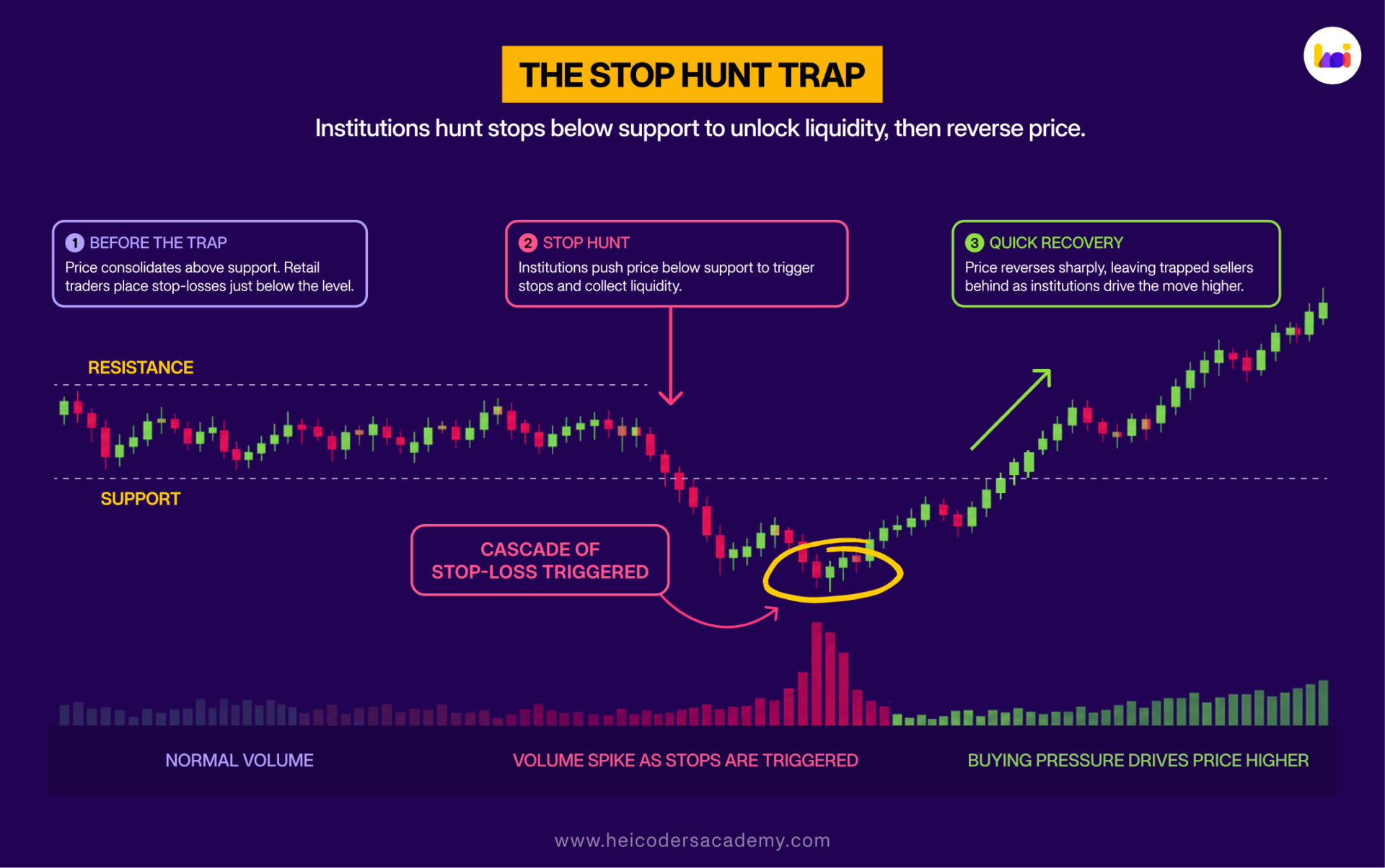 The Stop Hunt Trap Chart diagram illustrating how institutions trigger clustered retail stop-losses below support before reversing price sharply higher