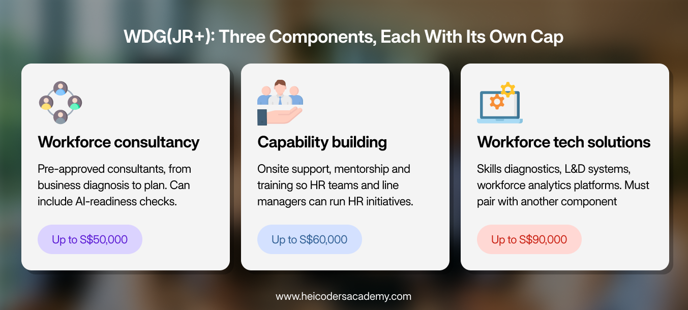 Infographic showing WDG(JR+) components: workforce consultancy, capability building and workforce technology solutions, each with a funding cap.